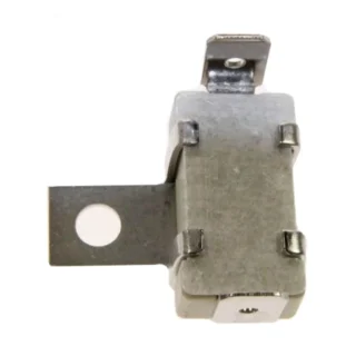 Termostato Plancha Polti