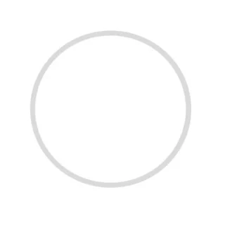 Goma tapa batidora Taurus Active Professional 1500 089244000